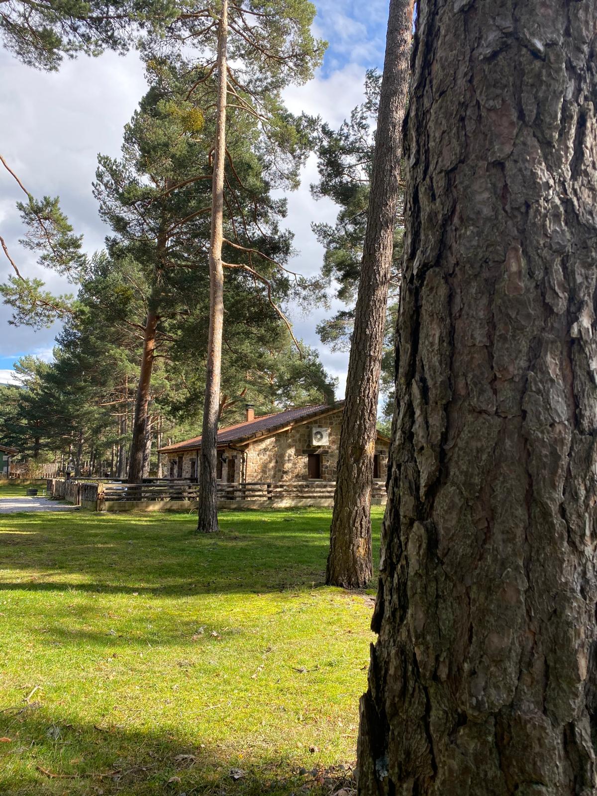 Gastronomía y entorno